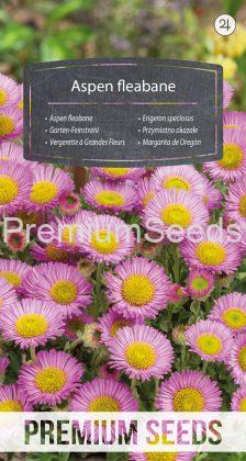 Aspen fleabane - seeds