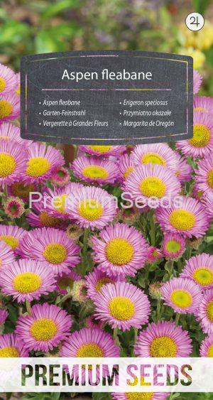 Aspen fleabane - seeds