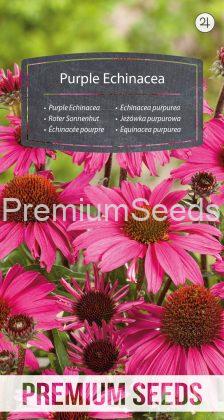 Purple Echinacea - seeds