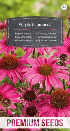 Purple Echinacea - seeds