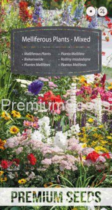 Melliferous Plants - Mixed - seeds