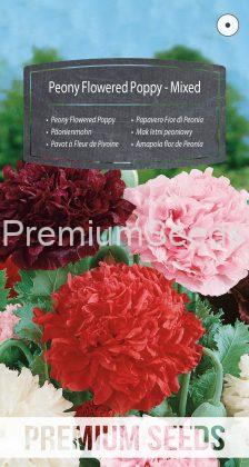 Peony Flowered Poppy - Mixed - seeds