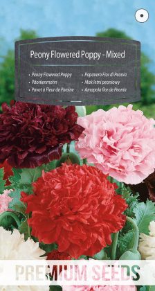 Amapola flor de Peonía - Variada - semillas