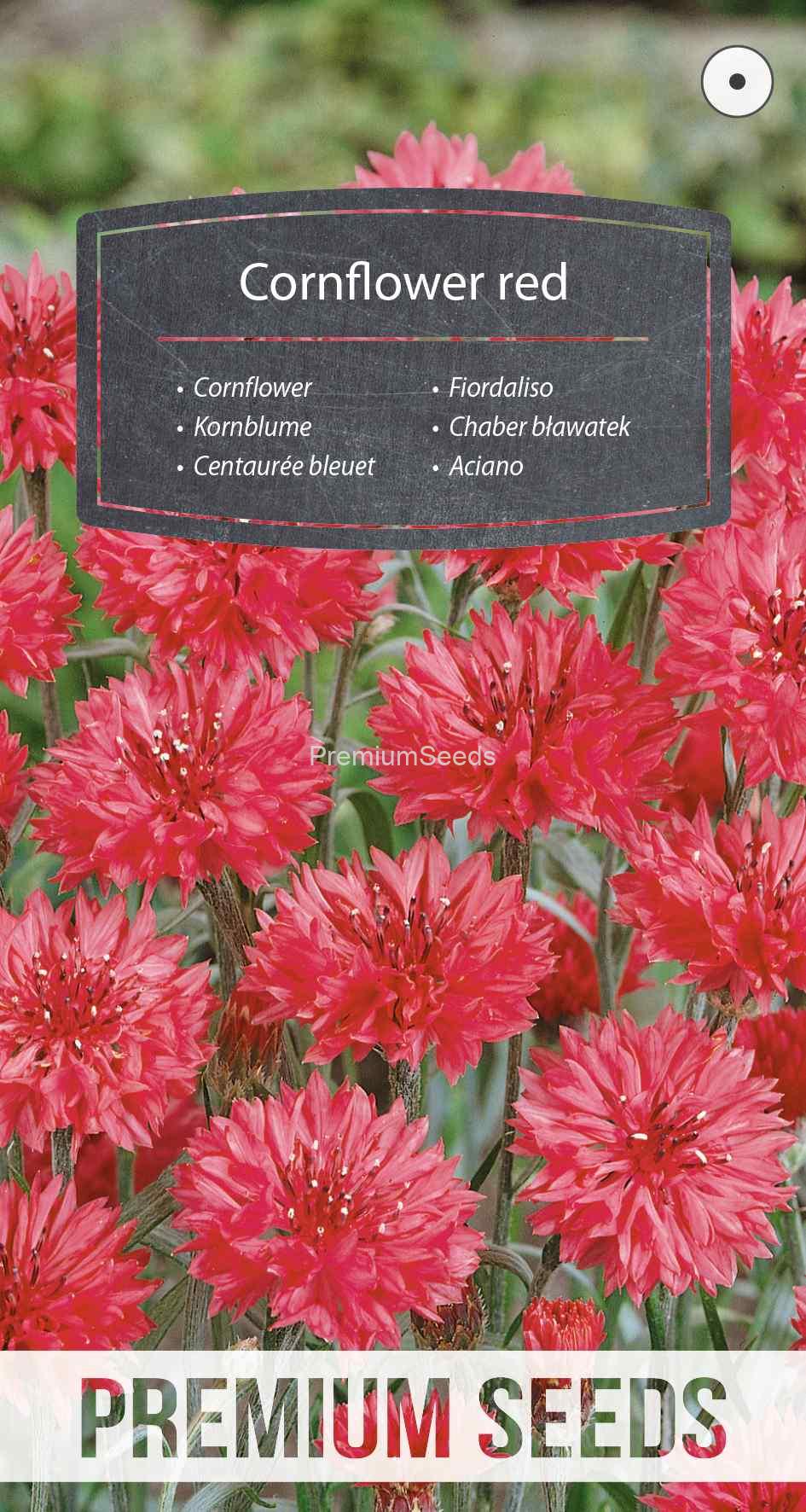 WORLD N 150 2956 spez_VS Kornblume Rot - Samen