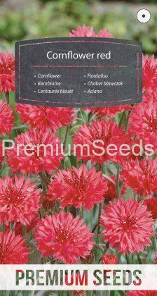 Cornflower red - seeds