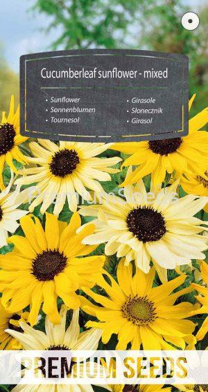 Cucumberleaf sunflower - mixed - seeds