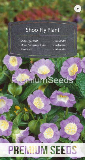 Shoo-Fly Plant - seeds