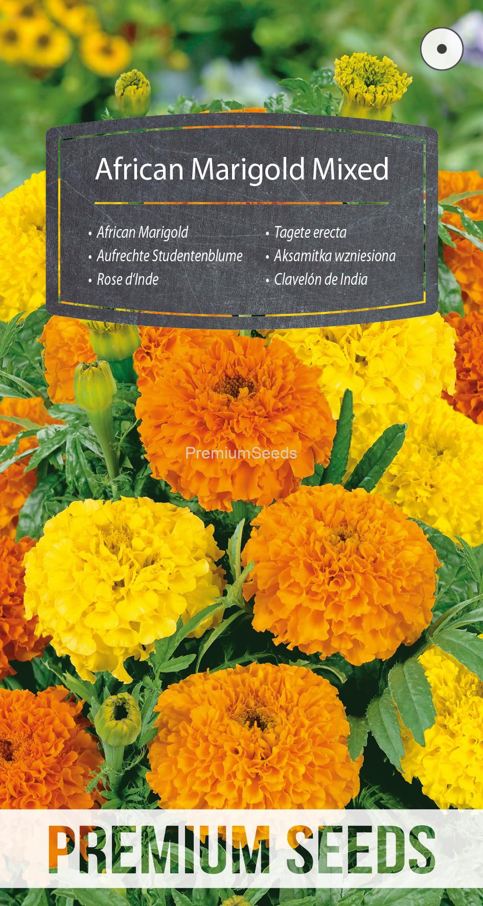WORLD N 150 8895.indd African Marigold - Mixed- seeds