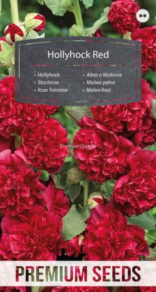 Stockrose - Rot - Samen