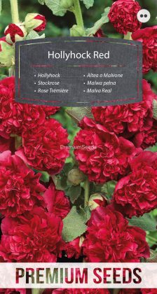 Malva Real - Roja- semillas