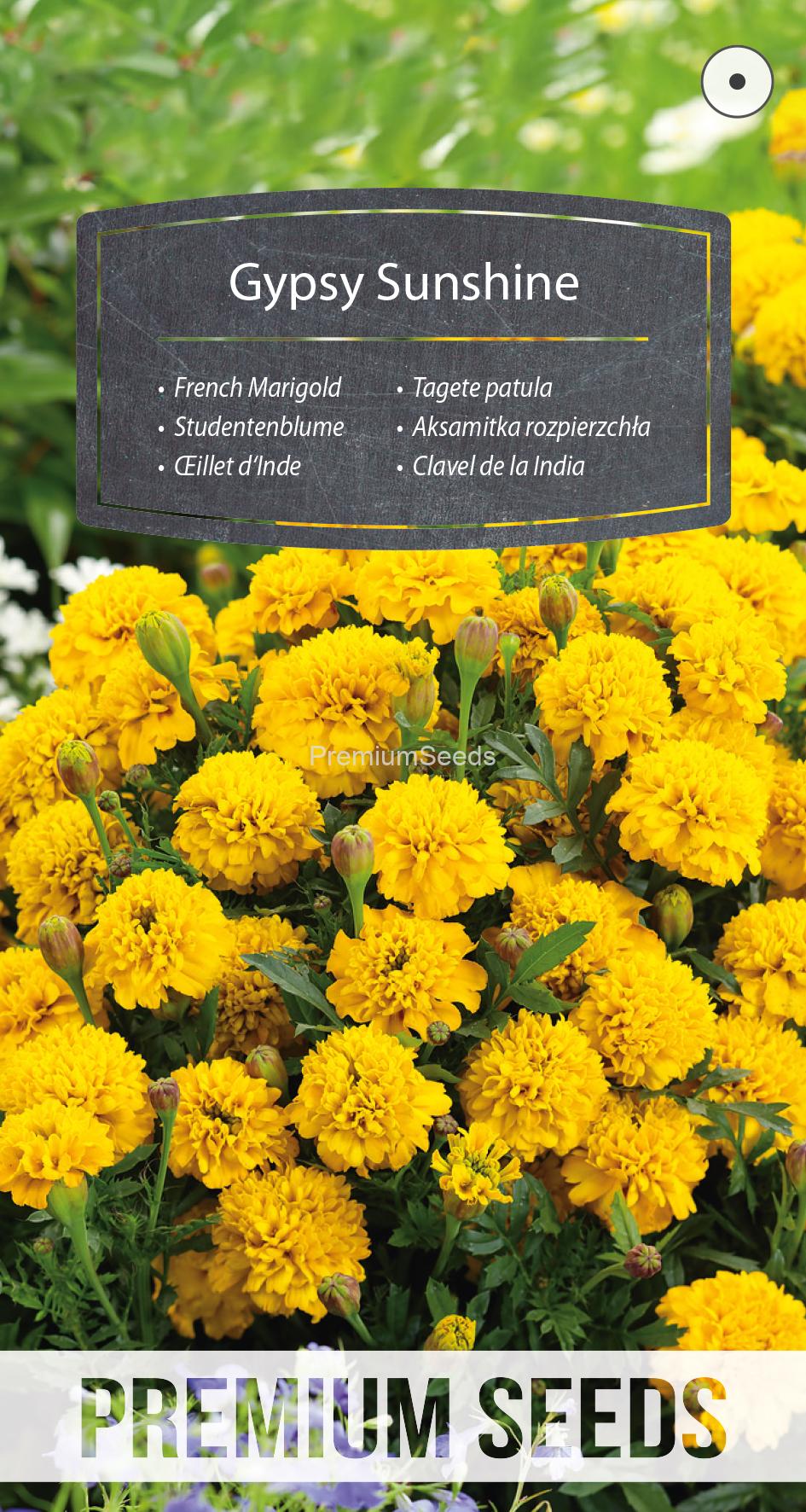 WORLD N 151 2988.indd French Marigold Gypsy Sunshine - seeds