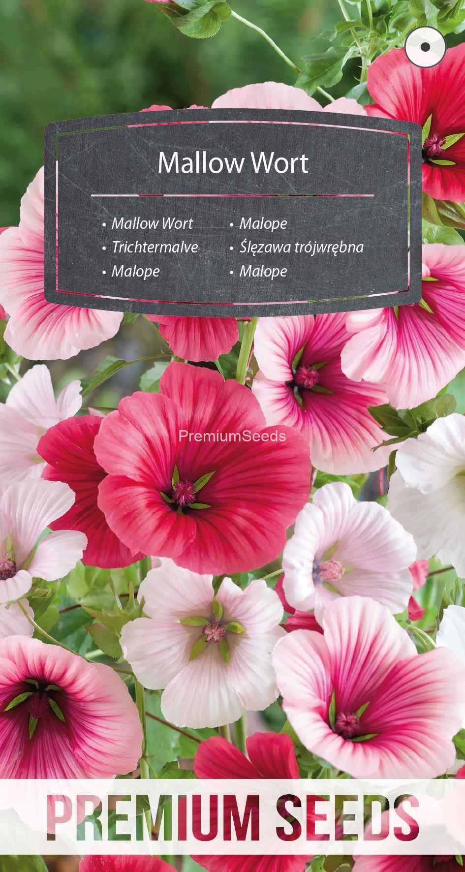 WORLD N 151 3000_VS Malope - semillas