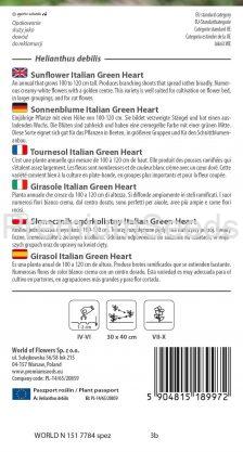 Girasol Italian Green Heart - semillas