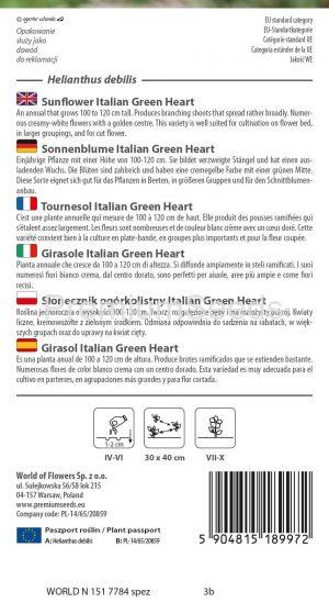 Girasol Italian Green Heart - semillas