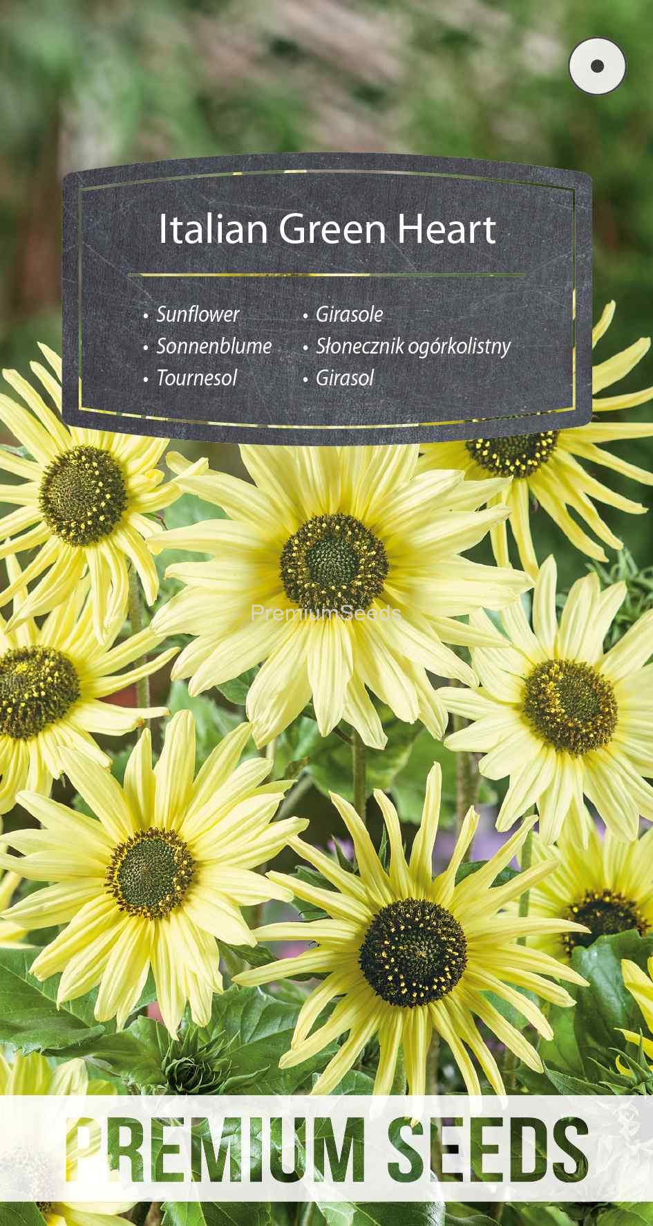 WORLD N 151 7784 spez_VS Sunflower Italian Green Heart - seeds