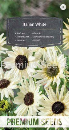 Girasol Italian White - semillas