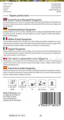Tagete Tangerine- semi