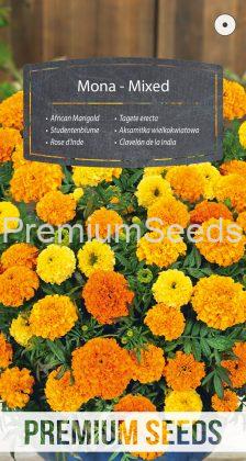 African Marigold Mona - Mixed - seeds