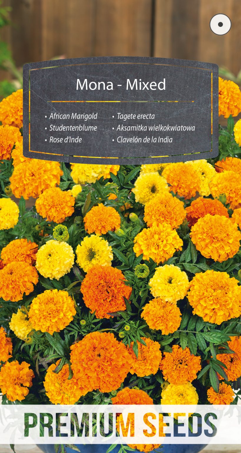 African Marigold Mona Mixed PremiumSeeds producer of seeds