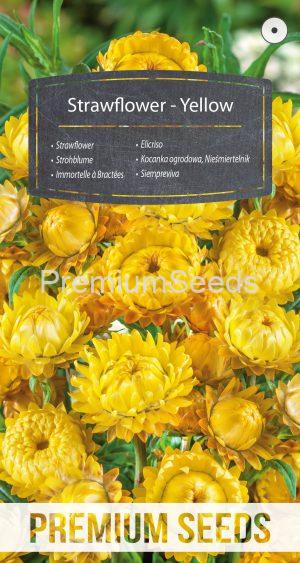 Strawflower - Yellow - seeds