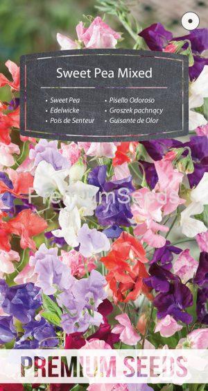 Sweet Pea - Mixed - seeds