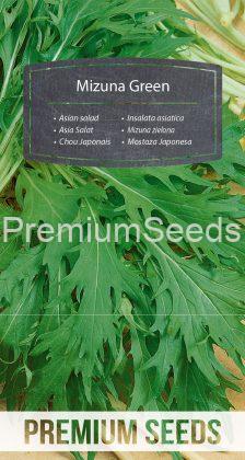 Mostaza Japonesa - Mizuna verde - semillas