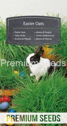 Easter Oats - seeds