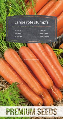 Marchew - Lange rote stumpfe – nasiona