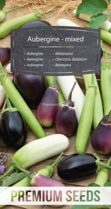 Berenjena - Variada - semillas