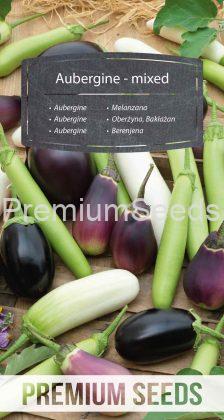 Aubergine - mixed - seeds