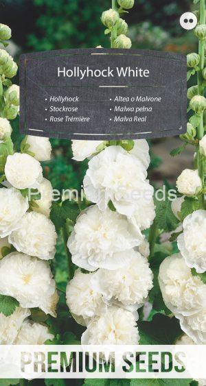 Stockrose - Weiße - Samen