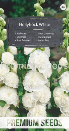 Hollyhock - White - seeds