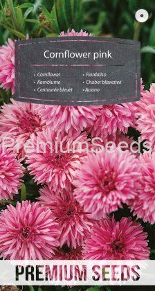 Cornflower pink - seeds