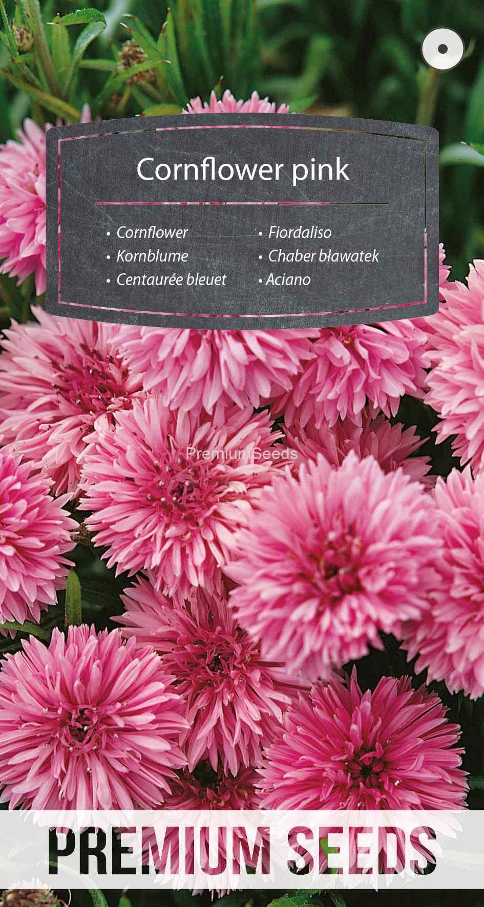 WORLD N 51 67 62_VS Cornflower pink - seeds