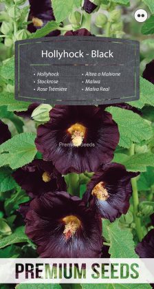 Malva Real - Negra - semillas