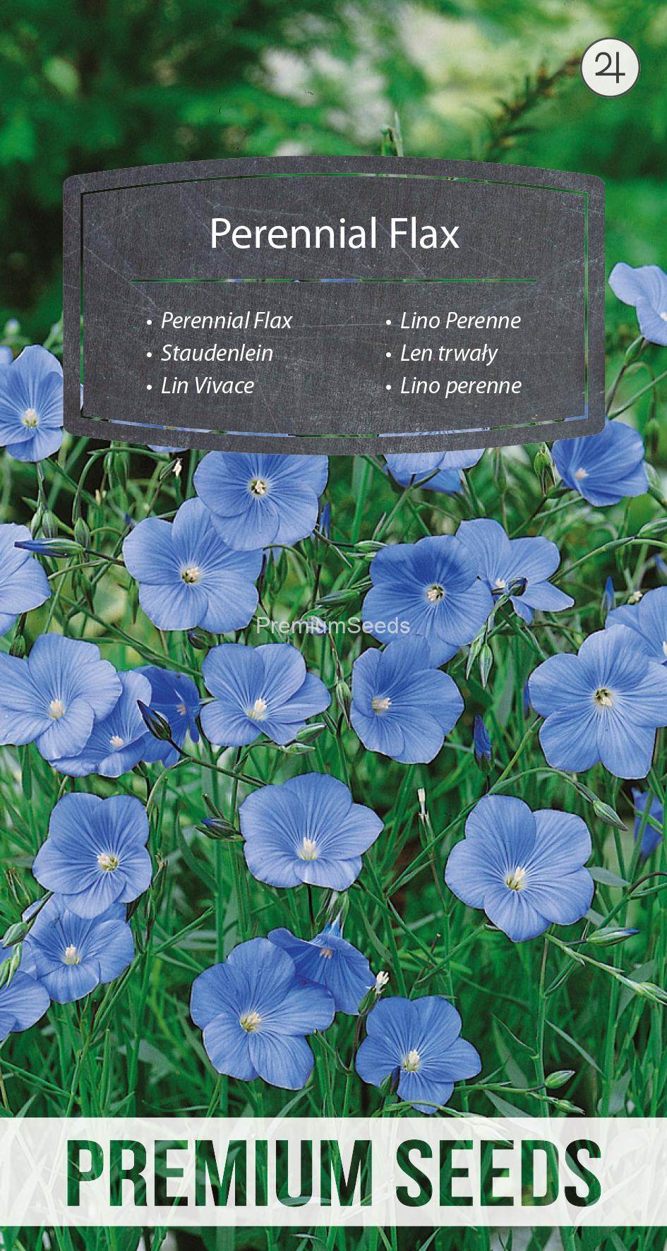 WORLD N 91 95 56.indd Perennial Flax - seeds