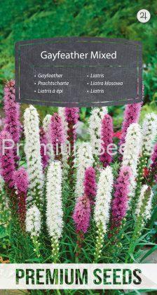 Liatris - Variada - semillas