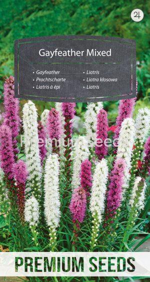 Liatris - Variada - semillas