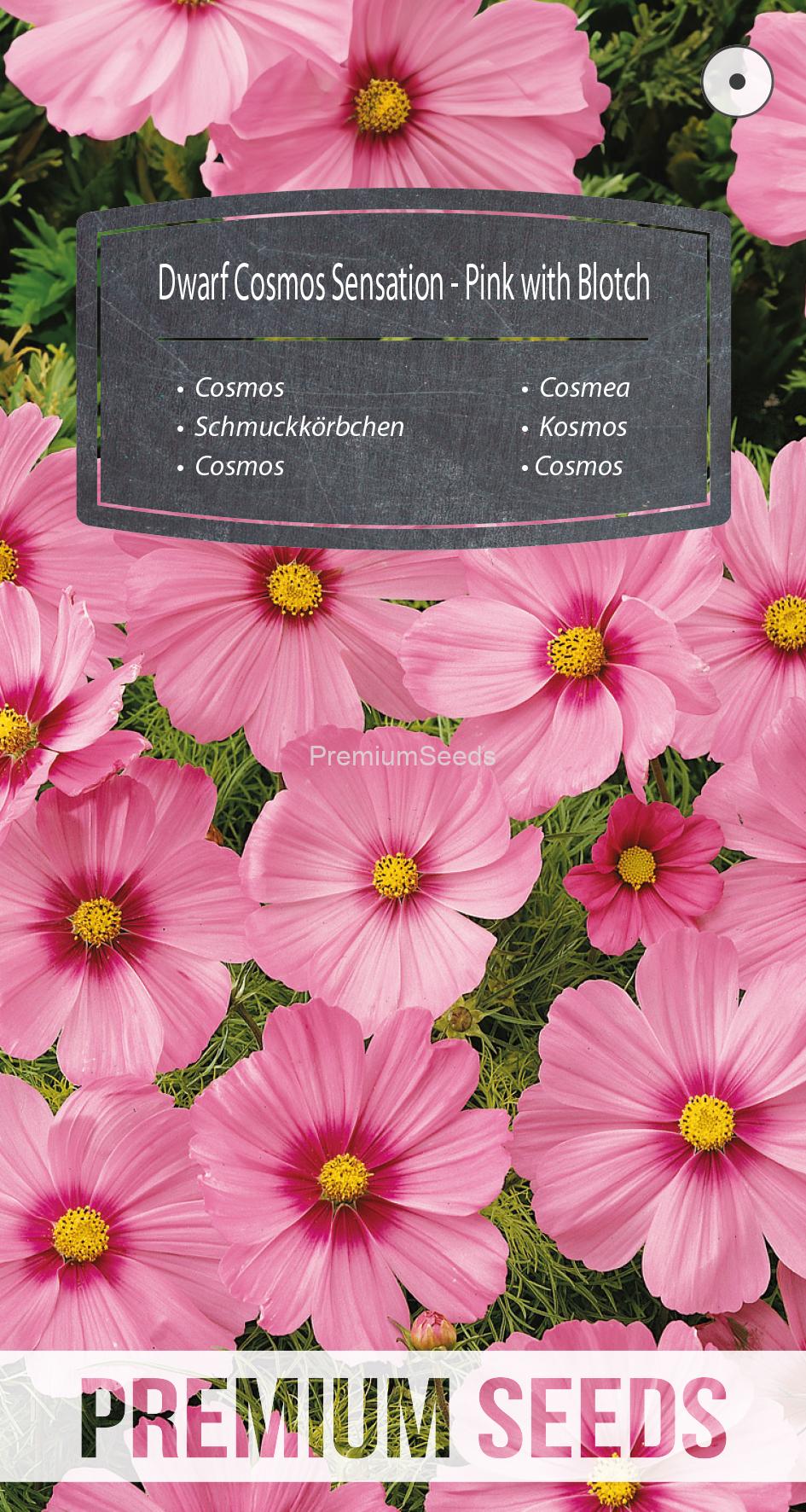 WORLD N G 450 0324.indd Cosmos Sensation Enano - Rosa con Mancha - semillas