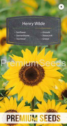 Girasol Henry Wilde - semillas