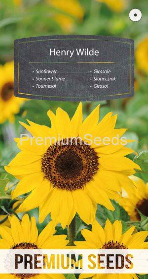 Sunflower Henry Wilde - seeds