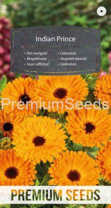 Pot marigold Indian Prince - seeds