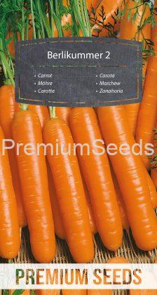 Zanahoria Berlikummer 2 - semillas