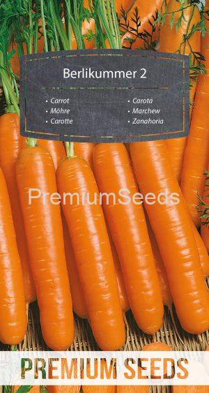 Zanahoria Berlikummer 2 - semillas