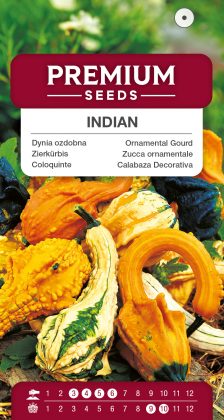 Ornamental Gourd Indian mix – seeds