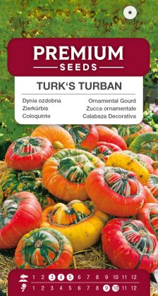 Ornamental Gourd Turk’s Turban – seeds