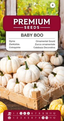 Ornamental Gourd Baby Boo – seeds