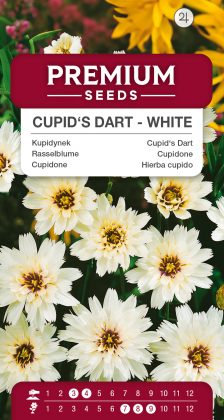 Cupidone - Bianco - semi