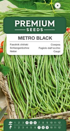 Cowpea Metro Black – seeds
