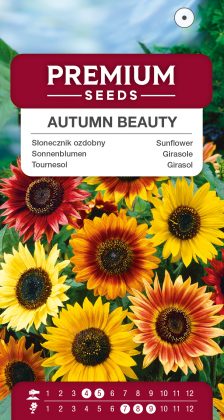 Sunflower Autumn Beauty – seeds
